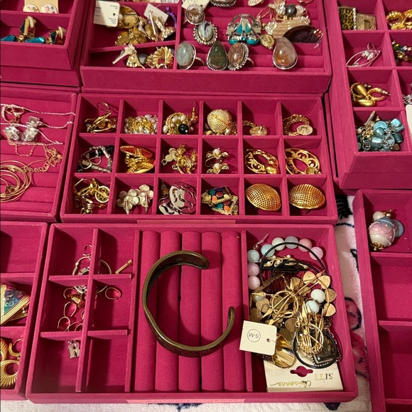 Unlisted items Assorted Jewelry Collection in Pink Organizer
Join live to grab - Picture 4 of 9